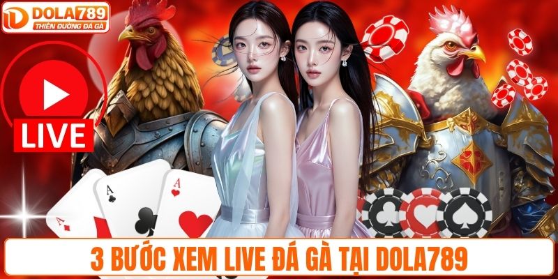 3 bước xem live đá gà tại DOLA789