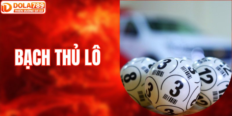 Cách Bắt Số Bạch Thủ Lô Chính Xác Tăng Cơ Hội Trúng Lớn