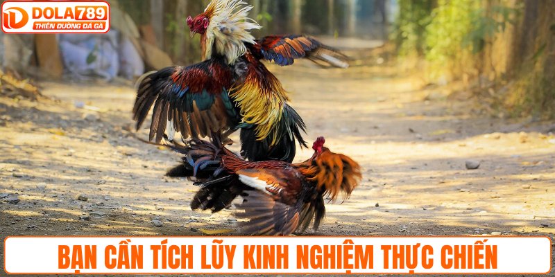 Bạn cần tích lũy kinh nghiệm thực chiến