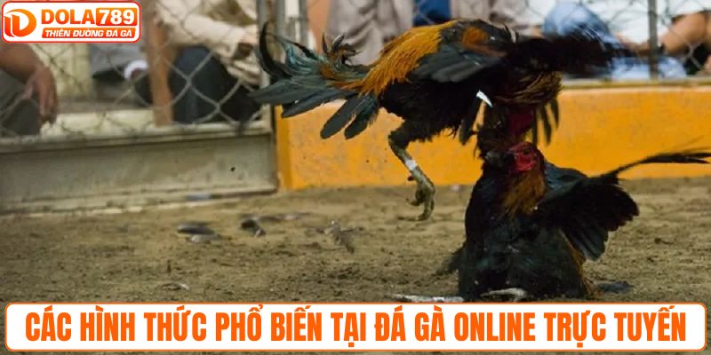 Các hình thức phổ biến tại đá gà online trực tuyến