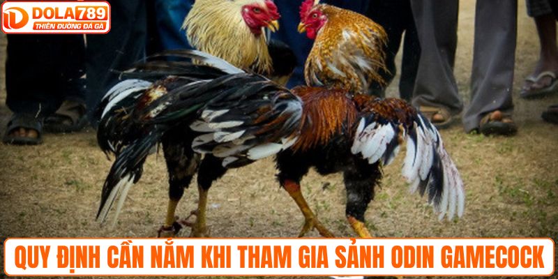 Các quy định cần nắm khi tham gia sảnh Odin Gamecock