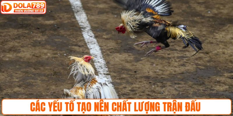 Các yếu tố tạo nên chất lượng trận đấu
