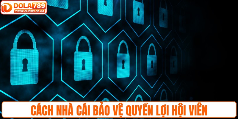 Cách nhà cái bảo vệ quyền lợi hội viên