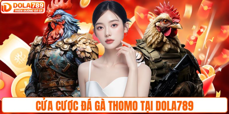 Cửa cược đá gà Thomo tại DOLA789