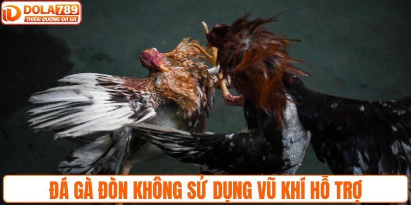 Đá gà đòn không sử dụng vũ khí hỗ trợ