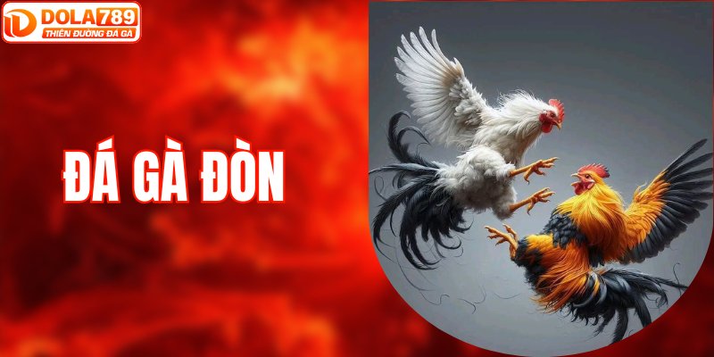 Đá Gà Đòn - Những Đòn Thế Huyền Thoại Khiến Đối Thủ Gục Ngã