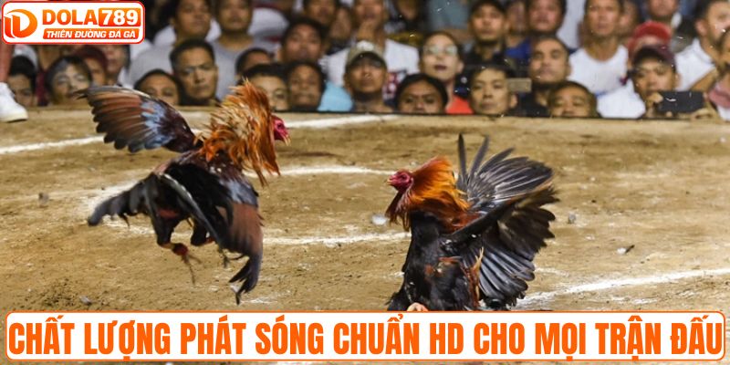 Chất lượng phát sóng chuẩn HD cho mọi trận đấu