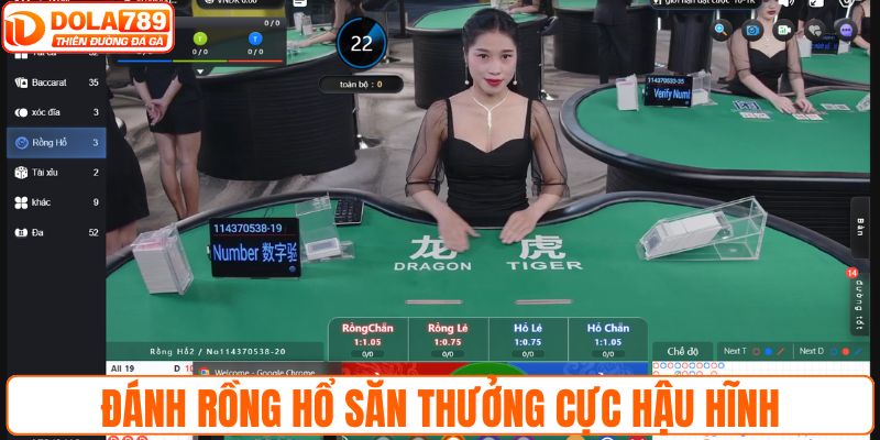 Đánh Rồng Hổ săn thưởng cực hậu hĩnh