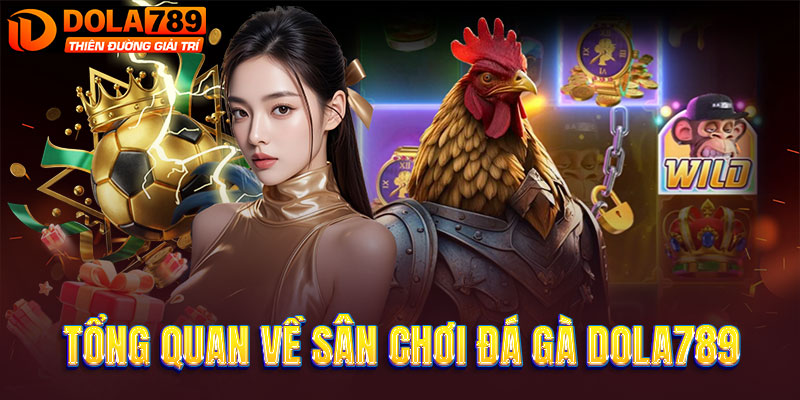 Tổng quan về sân chơi đá gà DOLA789 uy tín