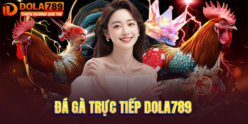Xem hàng trăm trận đá gà trực tuyến mỗi ngày