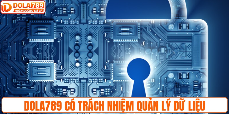 DOLA789 có trách nhiệm quản lý dữ liệu