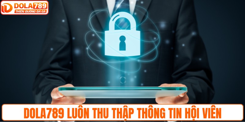 DOLA789 luôn thu thập thông tin hội viên