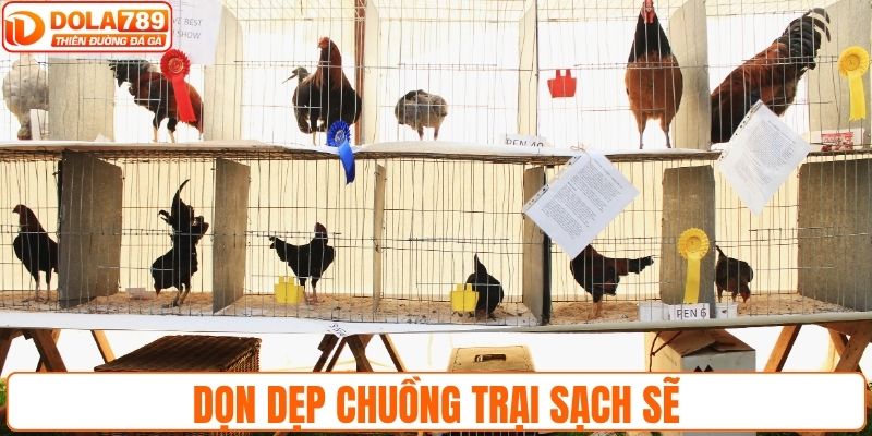 Dọn dẹp chuồng sạch sẽ, bổ sung thêm đèn sưởi