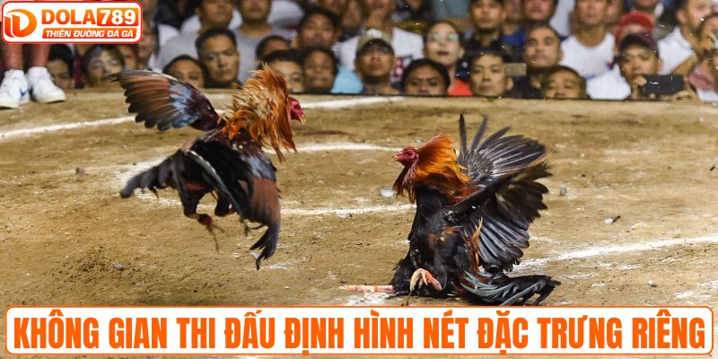 Không gian thi đấu định hình nét đặc trưng riêng