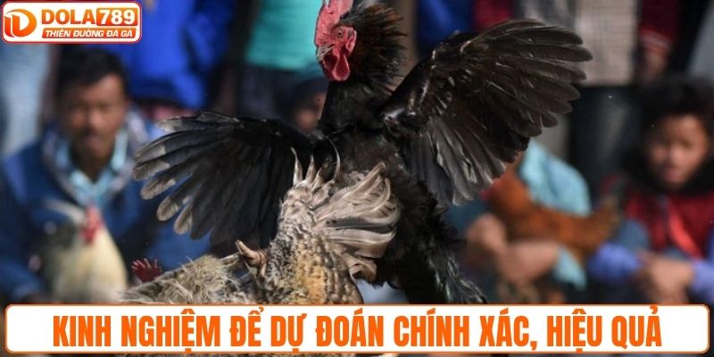 Kinh nghiệm để dự đoán chính xác, đặt cược hiệu quả