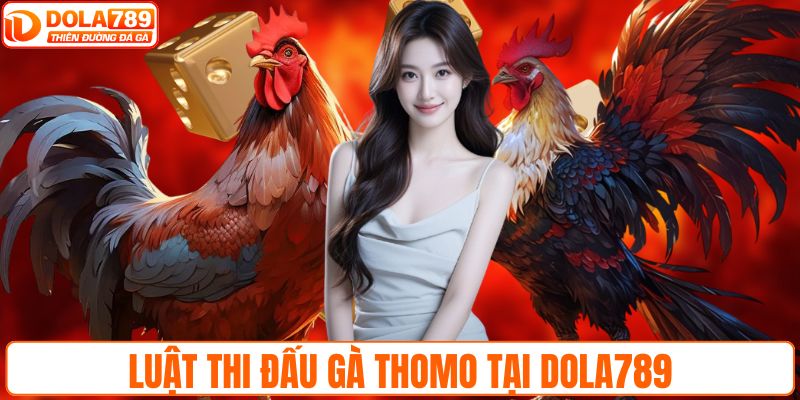 Luật thi đấu gà Thomo tại DOLA789