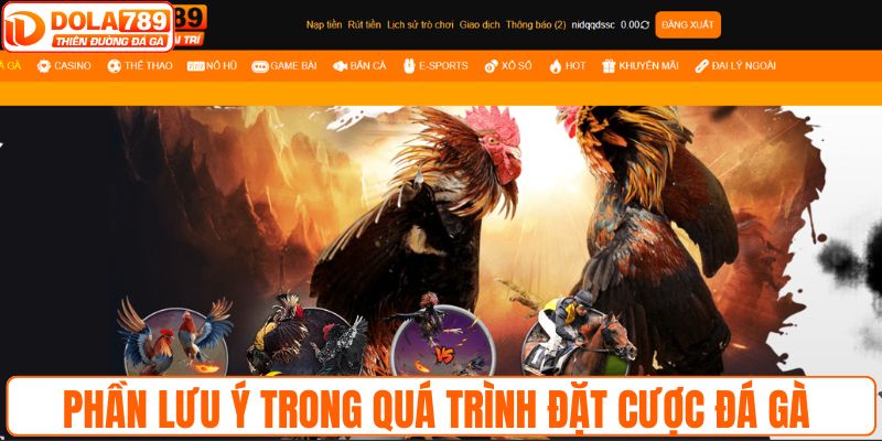 Phần lưu ý trong quá trình đặt cược đá gà 