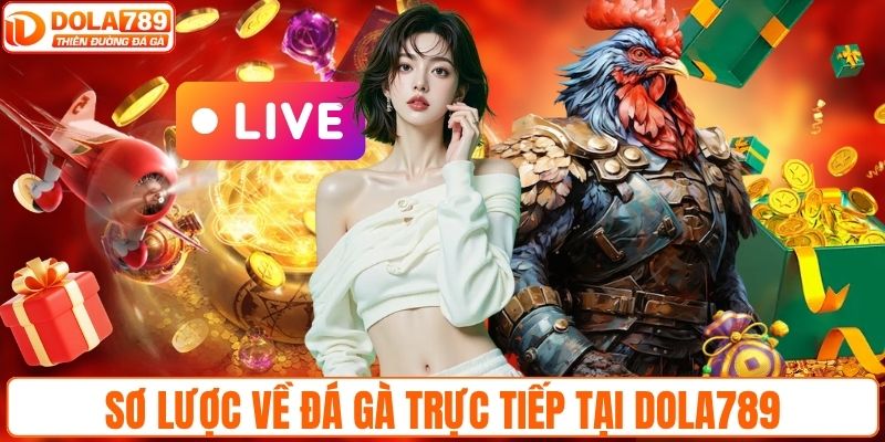 Sơ lược về đá gà trực tiếp tại DOLA789
