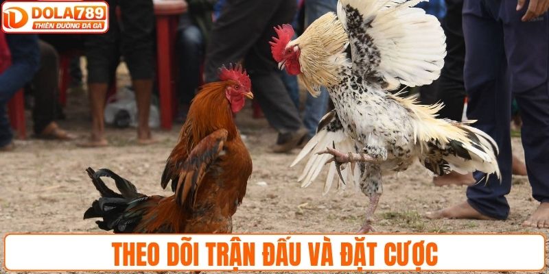 Theo dõi trận đấu hấp dẫn và đặt cược để nhận thưởng