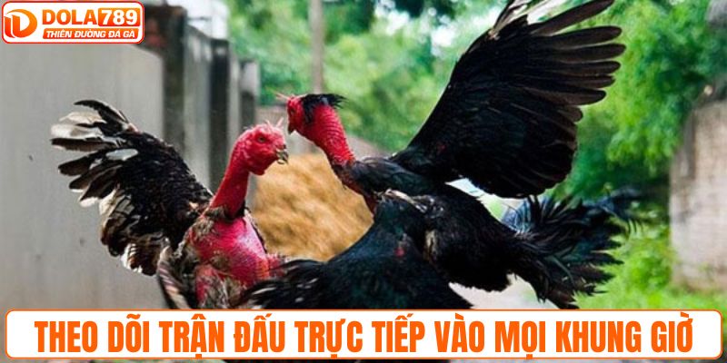 Theo dõi trận đấu trực tiếp vào mọi khung giờ