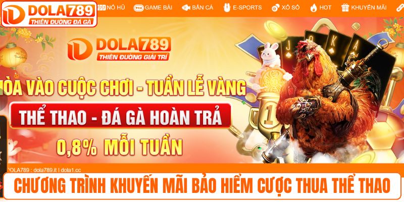 Tìm đúng URL chính thống của DOLA789