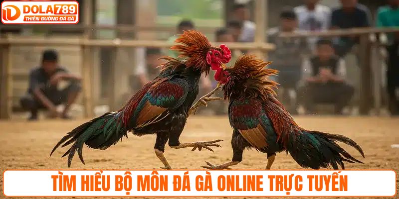 Tìm hiểu bộ môn đá gà online trực tuyến