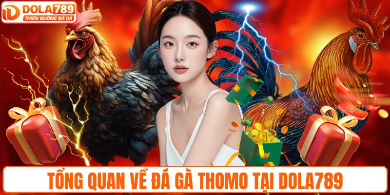 Tổng quan về đá gà Thomo tại DOLA789