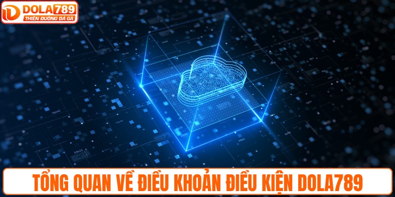 Tổng quan về điều khoản điều kiện DOLA789