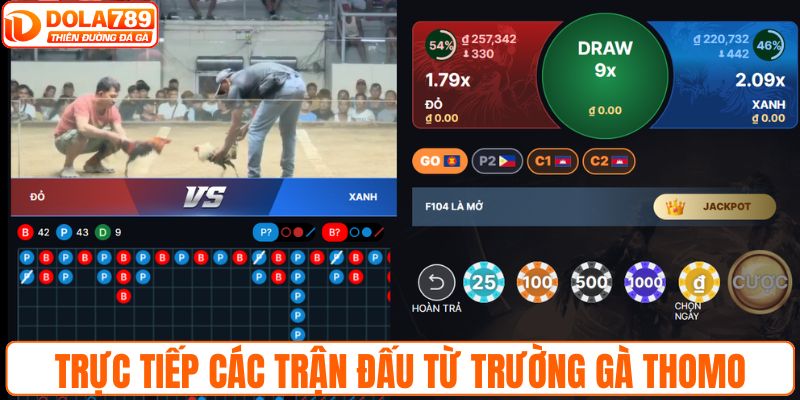 Trực tiếp các trận đấu từ trường gà Thomo