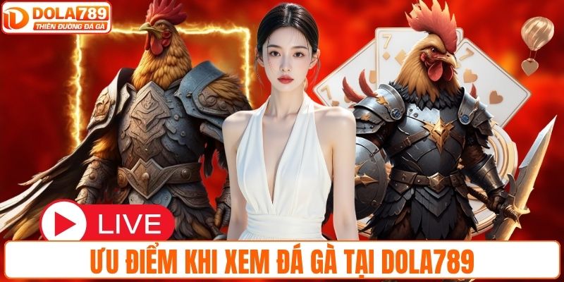 Ưu điểm khi xem đá gà tại DOLA789