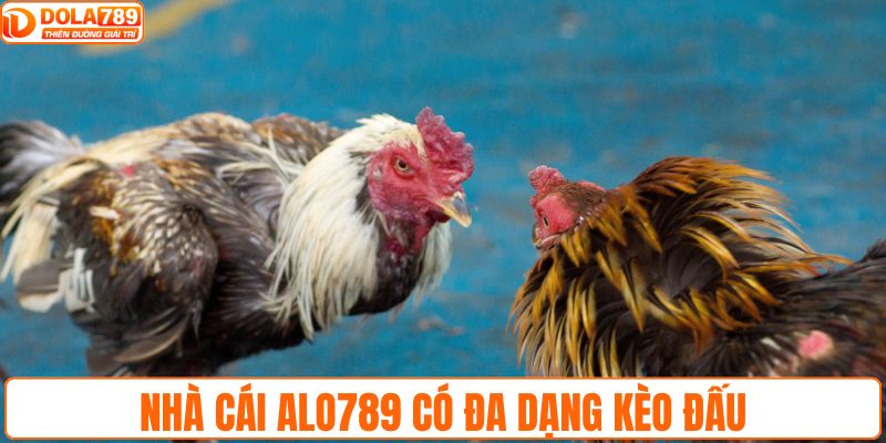Nhà cái ALO789 có đa dạng kèo đấu