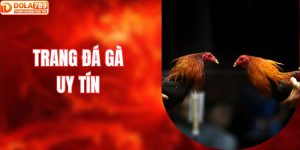 trang đá gà uy tín
