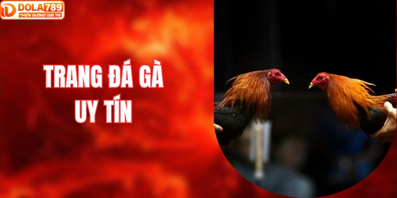 trang đá gà uy tín